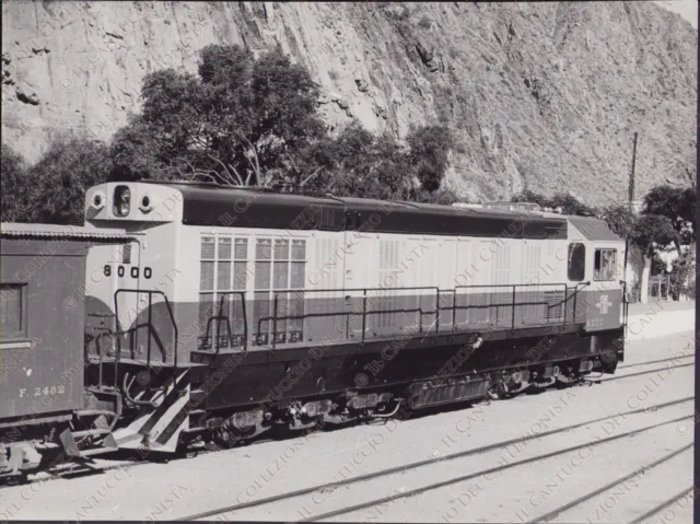 Locomotiva diesel elettrica FIAT 7164 treno ferrovia Fotografia