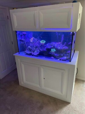 vepotek aquarium tank