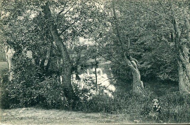 Carte CROSNE CROSNES Les bords de l'Yerres Beau chien dans les herbes