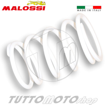 Aeon KIT MOLLA DI CONTRASTO VARIATORE BIANCA AEON MOTOR COBRA 50 2T 