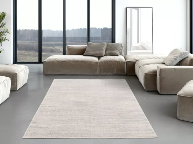 Living Room Rug Soft Dense Pile Non-Shedding Stain Resistant in Grey and Cream 2