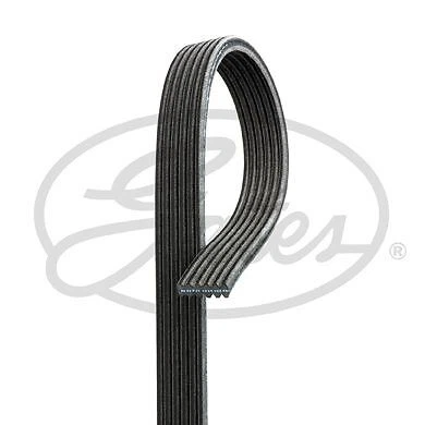 Gates 6Dpk2065 Cinghia trapezoidale per KIA K9 RJ 3.4 19->