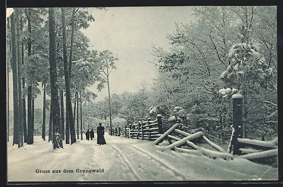Berlin-Grunewald, winterliche Landschaft, Ansichtskarte 1910