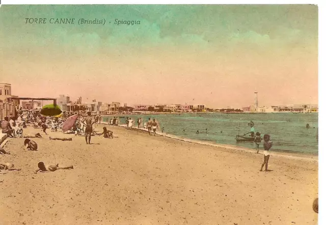 TORRE CANNE ( Brindisi )  -  Spiaggia