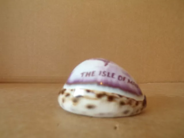 Vintage carved Tiger Cowrie Shell "The Isle of Man" with Manx logo