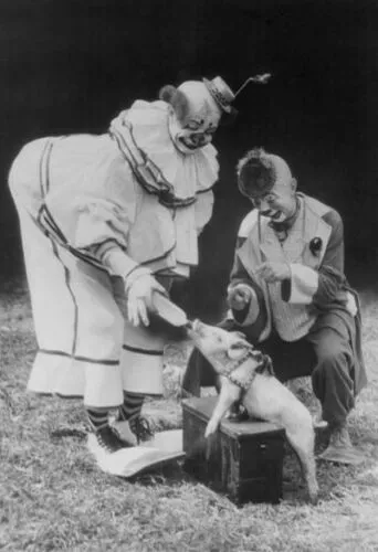 Antique Circus Clown Photo 862b Odd Strange & Bizarre