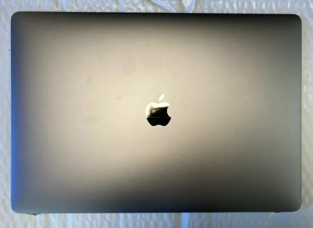 Display LCD Apple grigio siderale per MacBook Pro 15 Retina A1990 notebook grado B