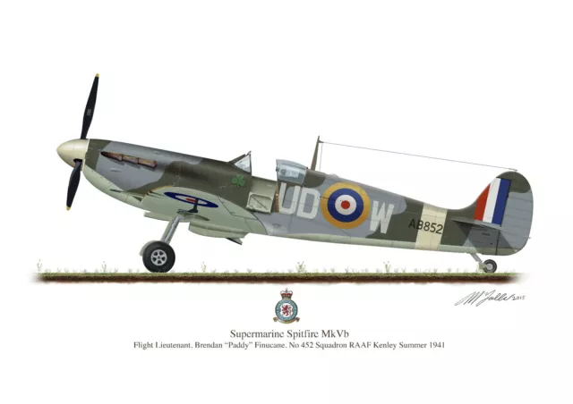 Supermarine Spitfire Aircraft Profile Art A3 Paddy Finucane Print WW2