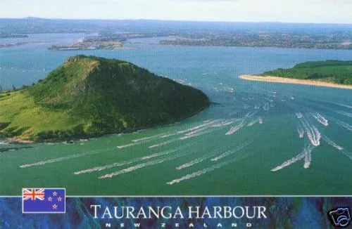 Ansichtskarte: Tauranga Harbour,  Neuseeland