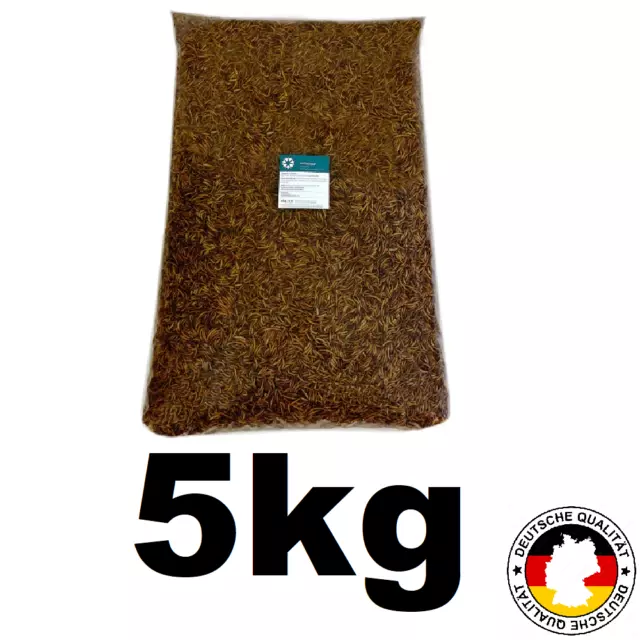 Vers De Farine Séchés Sac 5KG Nourriture Naturelle Pour Oiseaux Poisson Hérisson