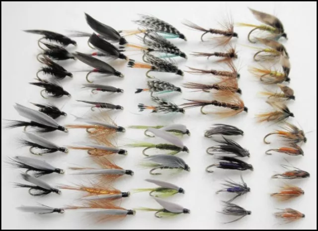 Wet Trout Fishing Flies, 50 Pack, All Named Varieties, fly fishing SF3A