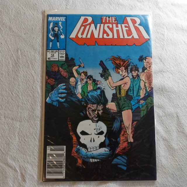 The Punisher Issue 12 Marvel Comic Book