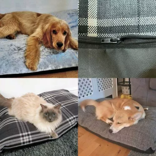 Mascota Cojín Cama Perro Gato Grande Extra XL Mano Lavable Desmontable Zip Tapa