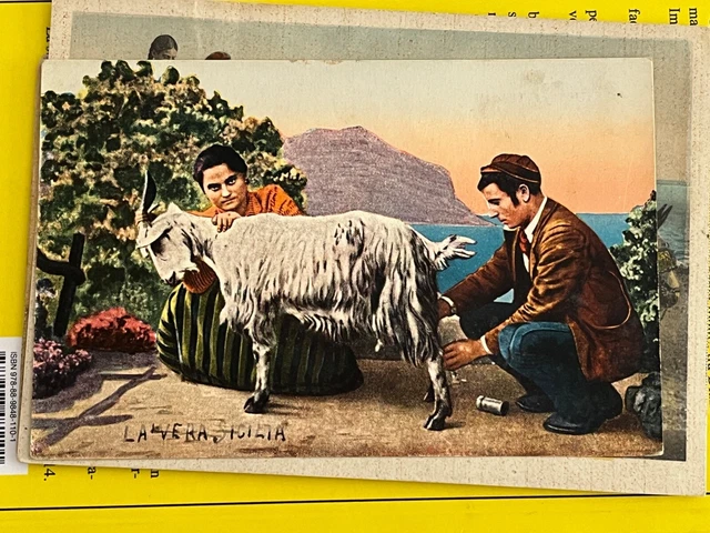 Costumi - La vera Sicilia. Il ragazzo del latte la capra e la donna. Viaggiata