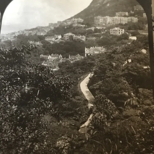 RARE GEORGE ROSE Stereoview Antique Photo European Residents Hong Kong 1904