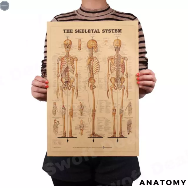 Retro Kraft Paper Poster - Skeletal System Anatomy - for Room Home Wall Decor