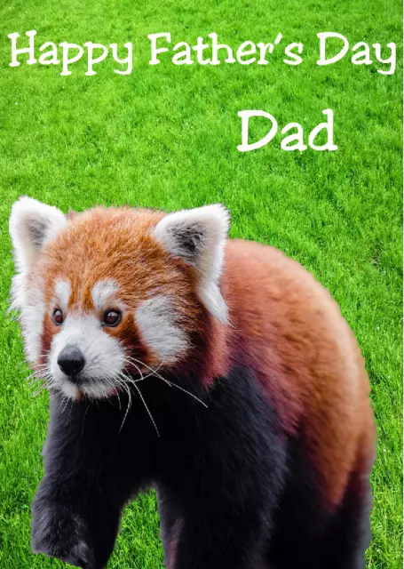 RED PANDA HS19 In The Garden Fun Cute Personalised Happy Birthday Greeting Card £ - PicClick UK RED PANDA HS19 In The Garden Fun Cute Personalised Happy Birthday Greeting Card £ - PicClick UK