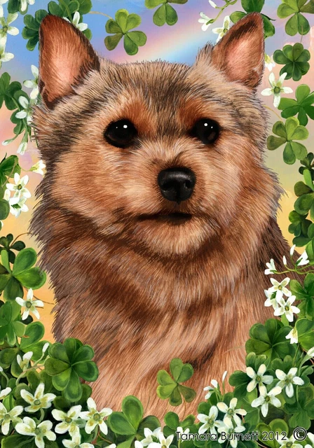Clover House Flag - Grizzle Norfolk Terrier