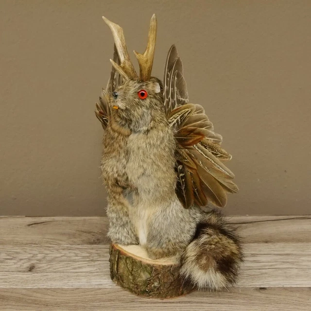 Wolpertinger Maclean Preparado Con Rojo Ojos, Ala Y Cornamenta #86.3.83 2