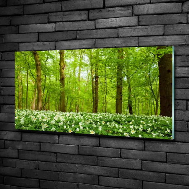 Wandbild aus Plexiglas® Druck auf Acryl 100x50 Landschaften Blumen im Wald