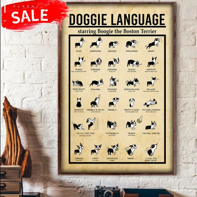Doggie Language Starring Boogie The Boston Terrier Knowledge Poster
