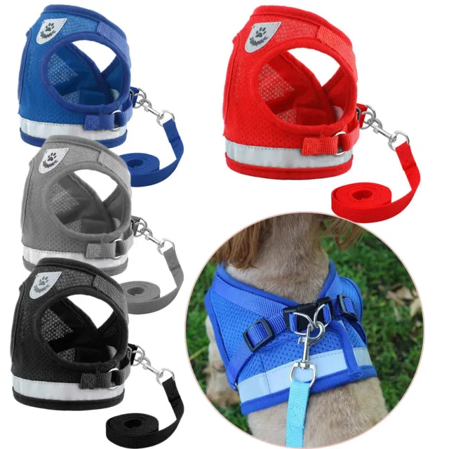 Small Dog Cat Harness and Walking Leads Set Pet Puppy Breathable Mesh Vest New!!