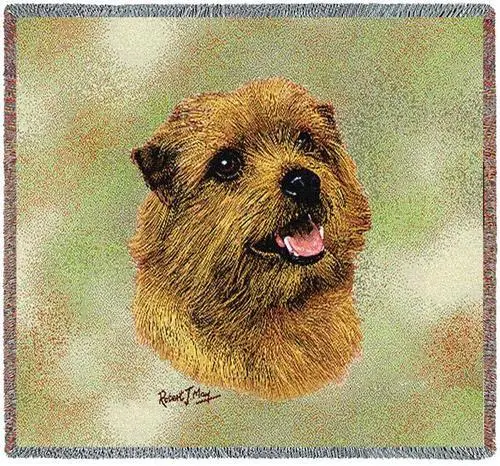 Lap Square Blanket - Norfolk Terrier by Robert May 6366 IN STOCK
