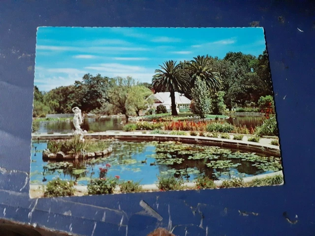 postcard,vintage botanic gardens adelaide australia