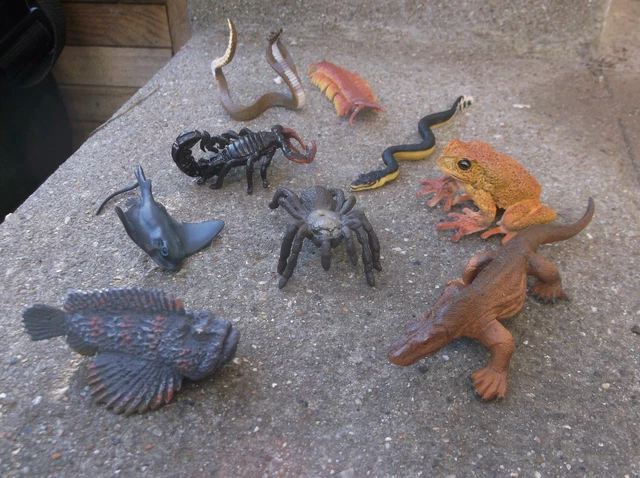 Figurines Toob Venomous Creatures - Animaux Venimeux, Collection Jouets éducatifs