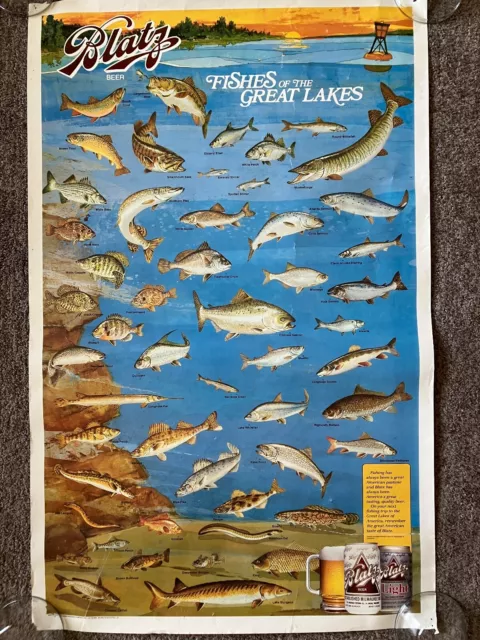 1991 Blatz Beer Poster Fishes of the Great Lakes