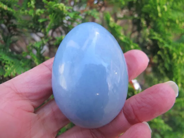 Angelite Healing crystal Egg polished blue angelic compassion Throat chakra 140g