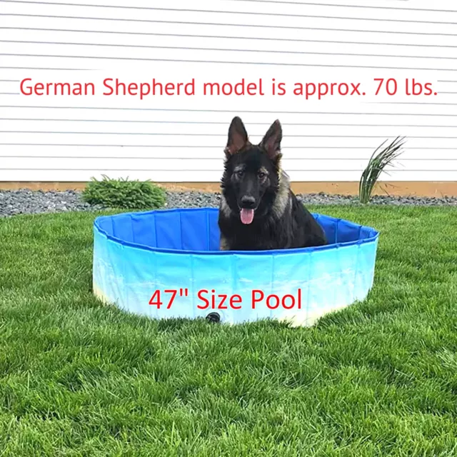 Midlee Dog Pool - Foldable & Portable Outdoor Bathing Tub (47" Diameter) 3