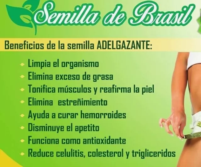 SEMILLA DE BRASIL BRAZIL SEED OF 100% ORIGINAL semilla quema grasa FREE  SHIPPING 646437786454