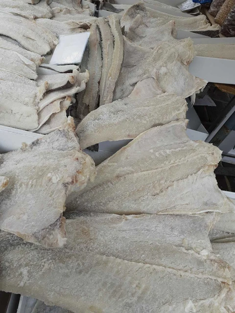 Baccalà Islandese Prima Qualità Il Top Varie Pezzature Merluzzo Salinato Bacalao Baccalà Islandese Prima Qualità Il Top Varie Pezzature Merluzzo Salinato Bacalao