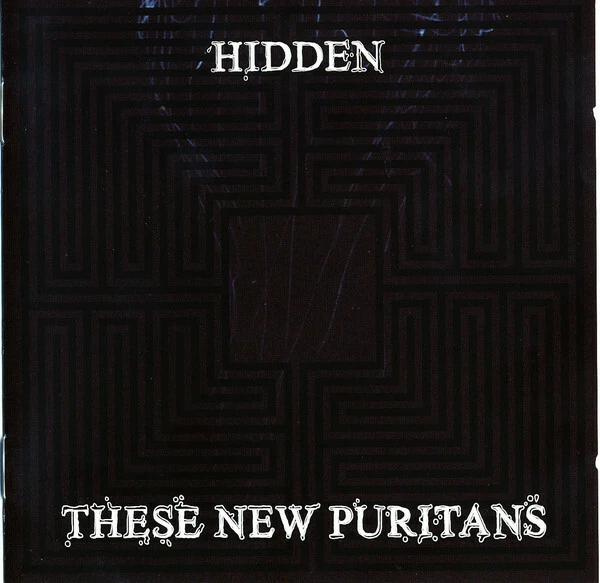 These New Puritans - Hidden (CD, Album)