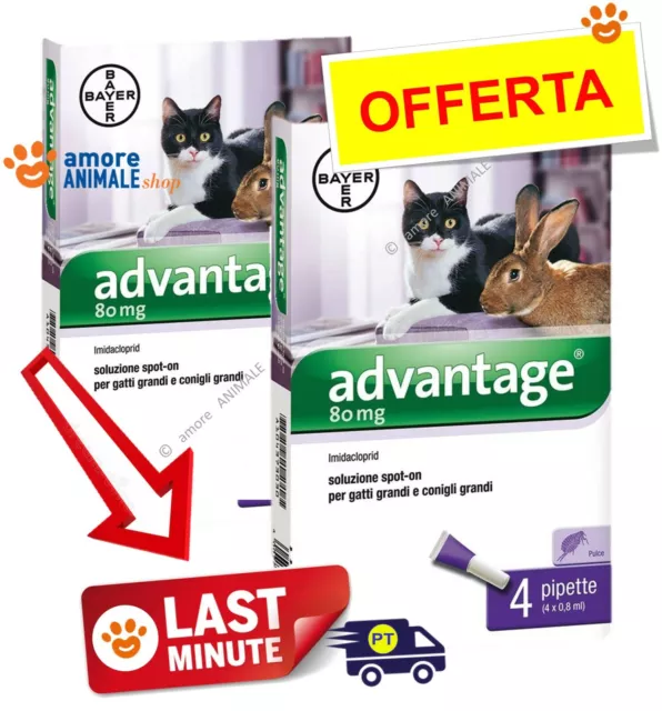 Bayer Advantage per GATTO e CONIGLI oltre 4 kg // 4 pipette - Antiparassitario