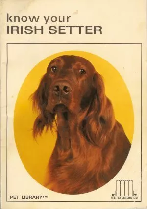 Know Your Irish Setter, Schneider, Earl, Good Condition, ISBN 0878265155