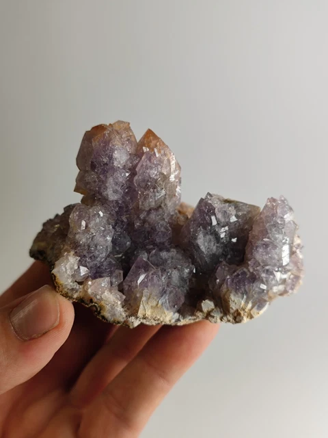 🔥Quarz Amethyst Druse Geode, Marokko 🔥