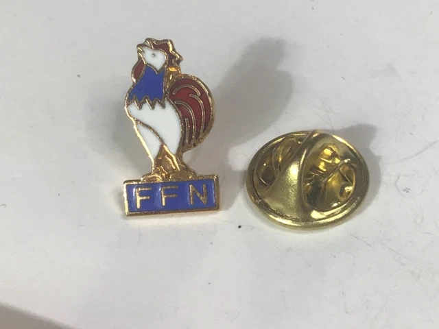 BG12925 - GROS INSIGNE BADGE DAUPHIN ECOLE DE NATATION