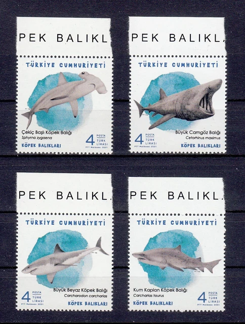 Türkei 2021 Turkey- Haie / Köpek Baliklari Mi.:4673/75 ** MNH 9 Sätze-KLEINBOGEN