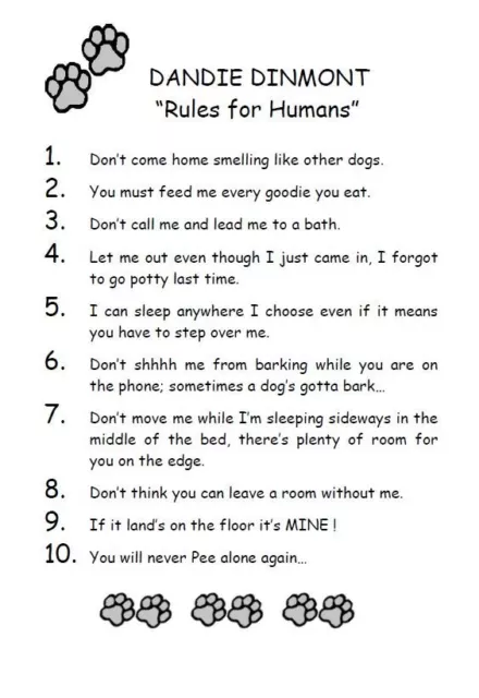 Dandie Dinmont Terrier "Rules for Humans" - CUSTOM MATTED - Dog Art Print : GIFT