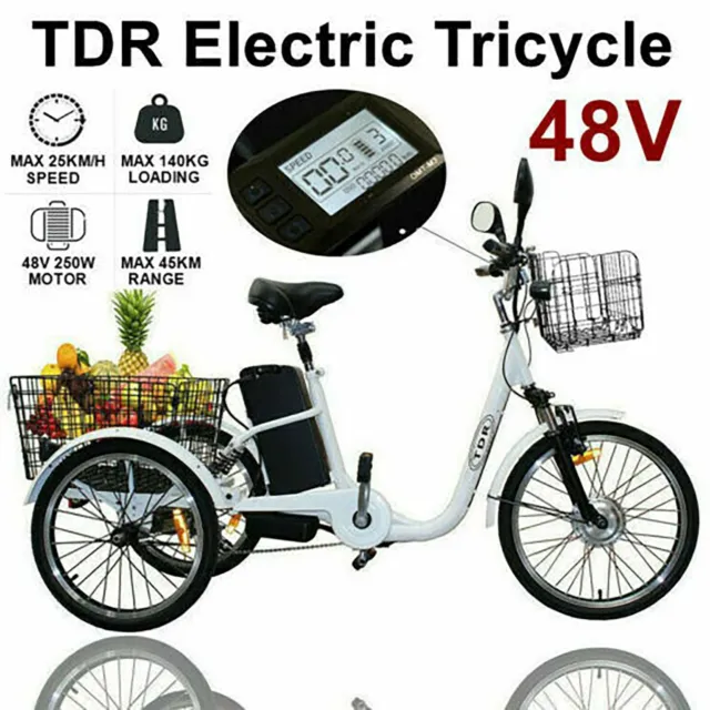 48V 250W Electric Cargo Tricycle Etrike Front/Rear Basket Brushless Motor Bike