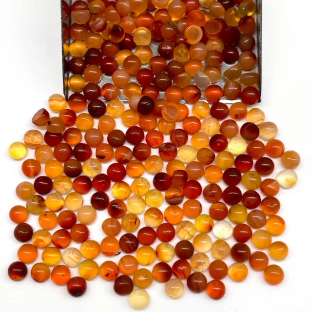 100 Pcs Natural Orange Carnelian 4.2mm Round Cabochon Loose Gems Wholesale Lot