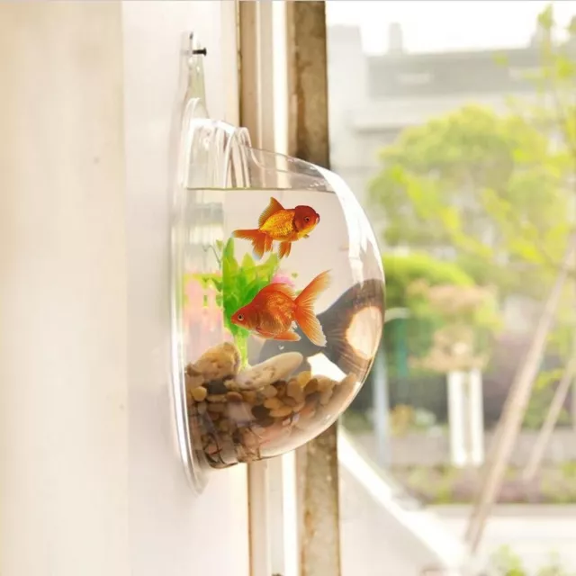 Hanging Wall Mounted Fish Tank Bowl for Water Plant Fish Aquarium Tank Pot Home