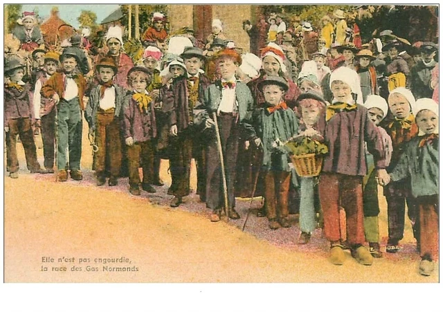 14.LA NORMANDIE PITTORESQUE.n°13216.ELLE N'EST PAS ENGOURDIE LA RACE DES GAS N