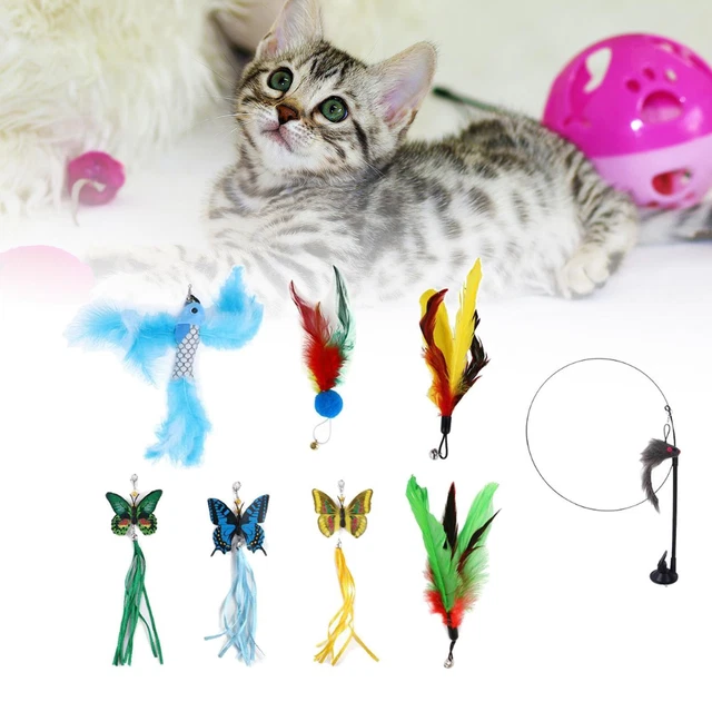 Jouet De Plumes De Chat 8 Pièces Avec Jouets De Chat Interactifs