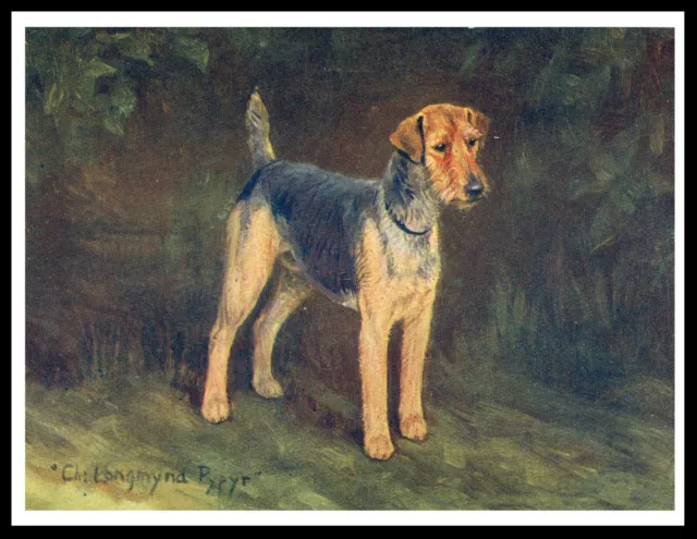 Welsh Terrier Named Old Champion Lovely Vintage Style Dog Art Print Poster