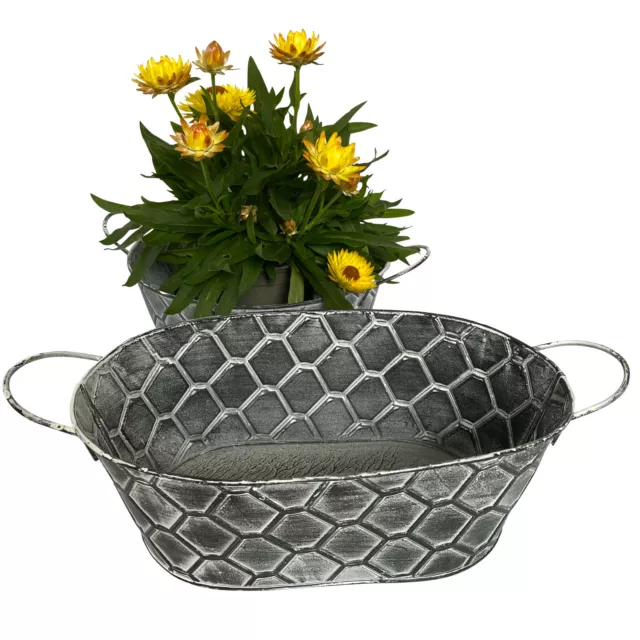 2 Blumentöpfe Zink Metall Set - Garten Blumentopf Pflanzkübel Kräutertopf P41