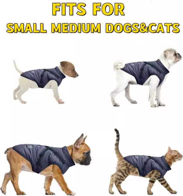 Winter Pet Dog Coat Warm Jacket with Harness Waterproof Breathable Puppy Outfits 3