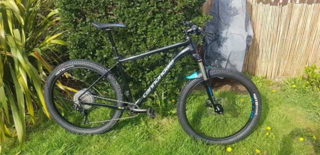 Cannondale hardtail 2019 sale